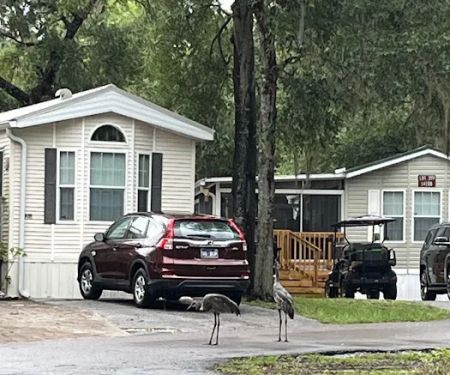 Lake Kerr Rentals at Salt Springs Resort