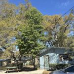 Bass Champions Cabins