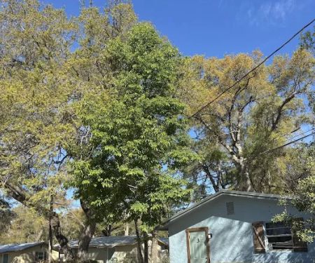 Bass Champions Cabins