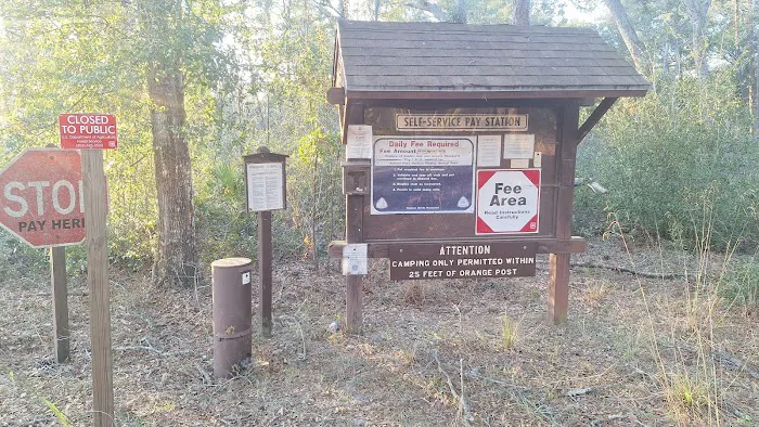 Shanty Pond Campground Picture 3