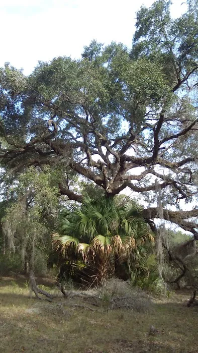 Shanty Pond Campground Picture 4