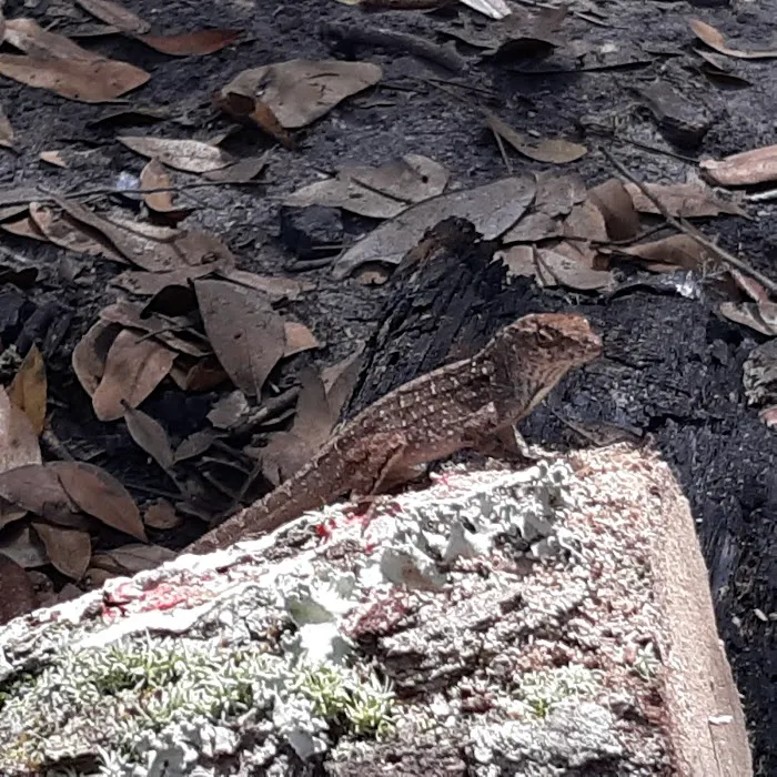 Shanty Pond Campground Picture 6