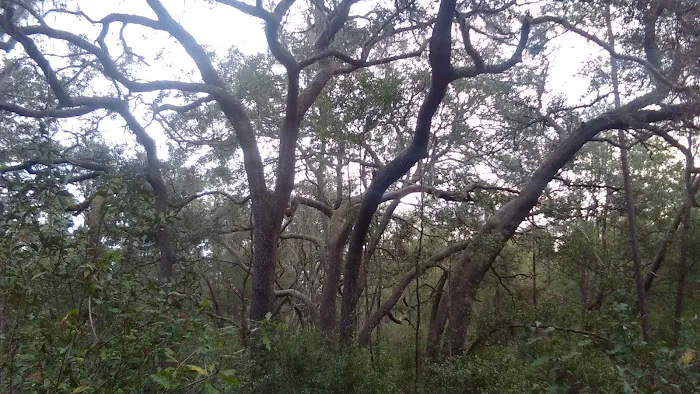 Shanty Pond Campground Picture 7