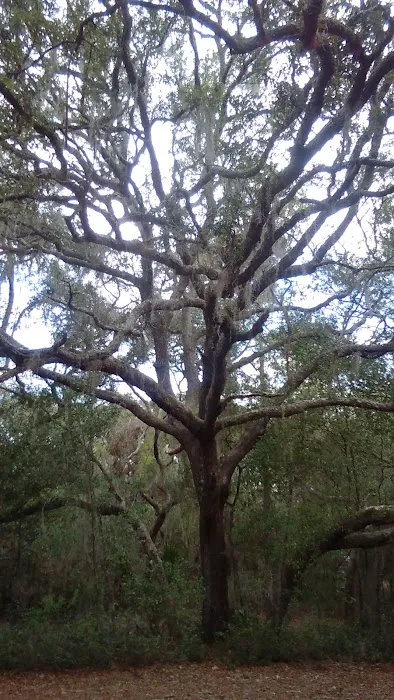 Shanty Pond Campground Picture 8