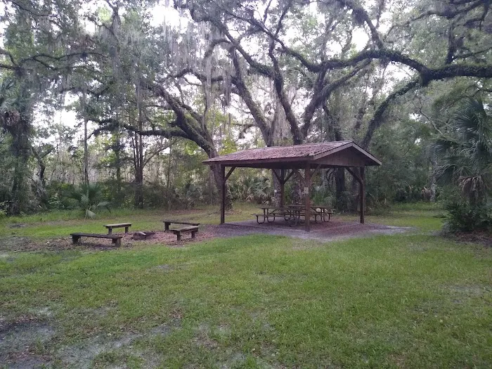 Lake George Jumping Gully Campsite of St Johns River WMD Picture 2