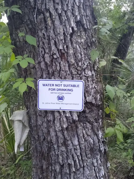 Lake George Jumping Gully Campsite of St Johns River WMD Picture 1