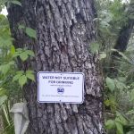 Lake George Jumping Gully Campsite of St Johns River WMD