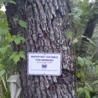 Lake George Jumping Gully Campsite of St Johns River WMD ico