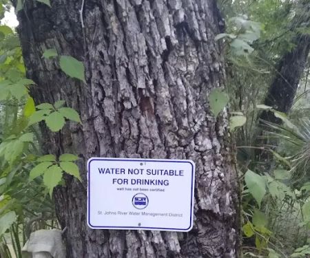 Lake George Jumping Gully Campsite of St Johns River WMD
