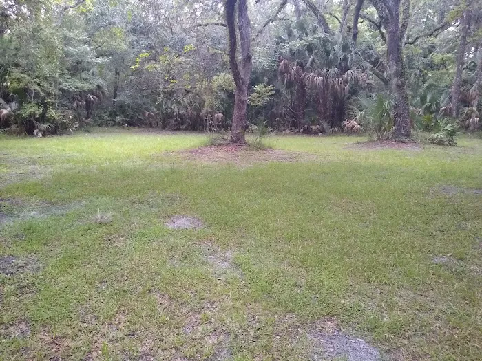 Lake George Jumping Gully Campsite of St Johns River WMD Picture 3