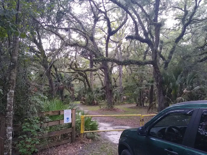 Lake George Jumping Gully Campsite of St Johns River WMD Picture 5