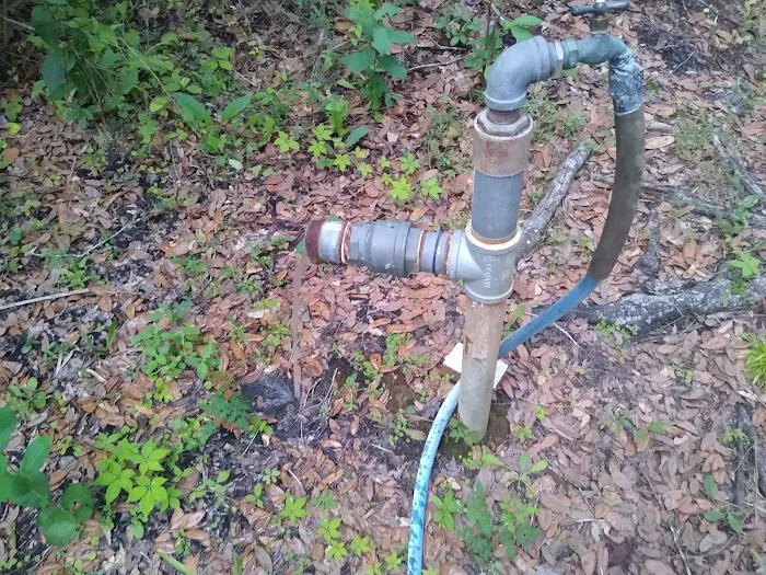 Lake George Jumping Gully Campsite of St Johns River WMD Picture 4