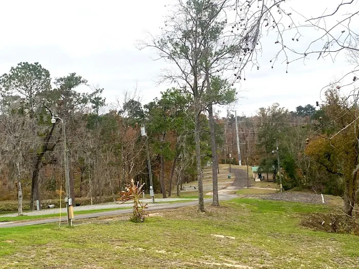 Chattahoochee RV Campground & Fishing Resort Picture 4