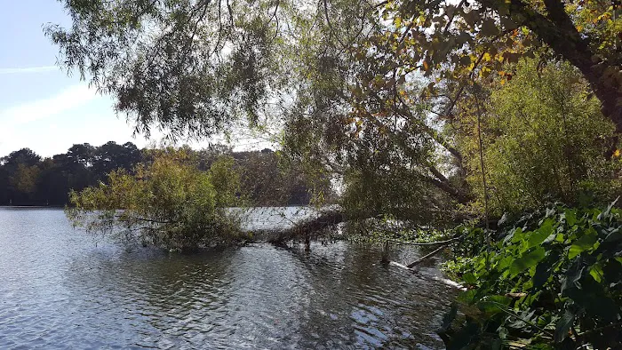 Butlers Ferry (Trails End Marina) (recgovnpsdata) Picture 9