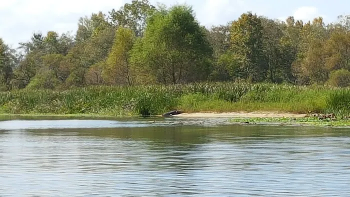 Butlers Ferry (Trails End Marina) (recgovnpsdata) Picture 10