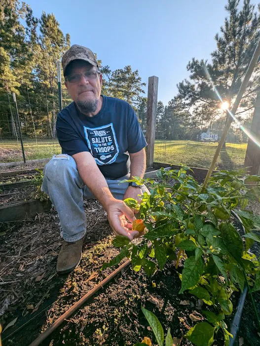 The Outside Inn Tree Farm & Mill Picture 5