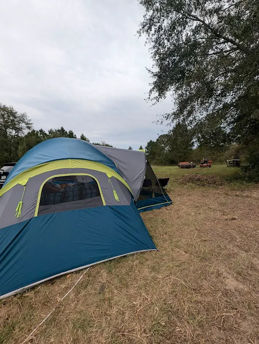 The Outside Inn Tree Farm & Mill Picture 2