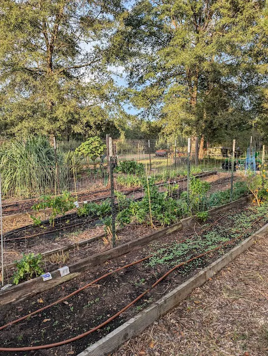 The Outside Inn Tree Farm & Mill Picture 1