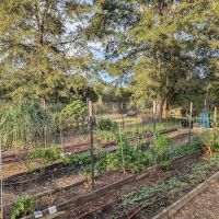 The Outside Inn Tree Farm & Mill ico