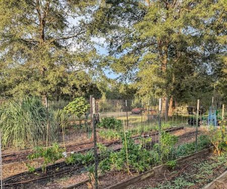 The Outside Inn Tree Farm & Mill