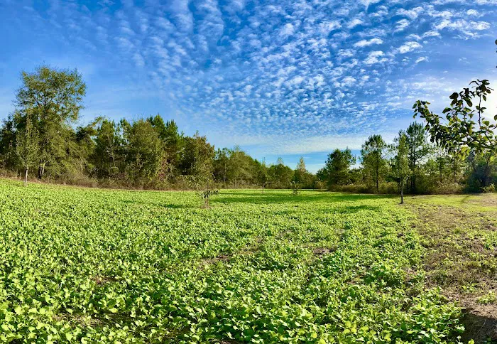 The Outside Inn Tree Farm & Mill Picture 7