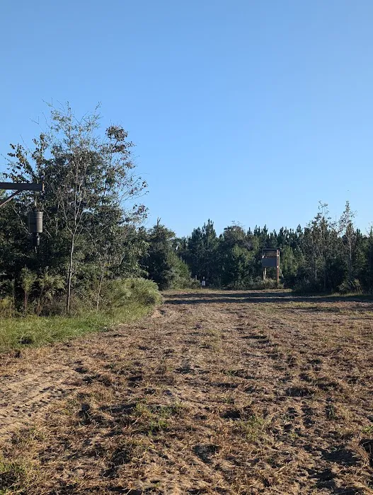 The Outside Inn Tree Farm & Mill Picture 3