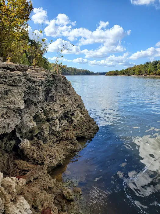 Bluff Rock Picture 1