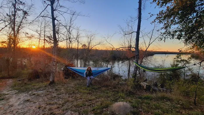 Bluff Rock Picture 3
