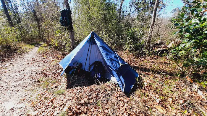 Bluff Rock Picture 8