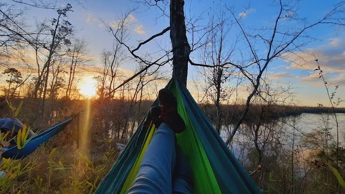 Bluff Rock Picture 4