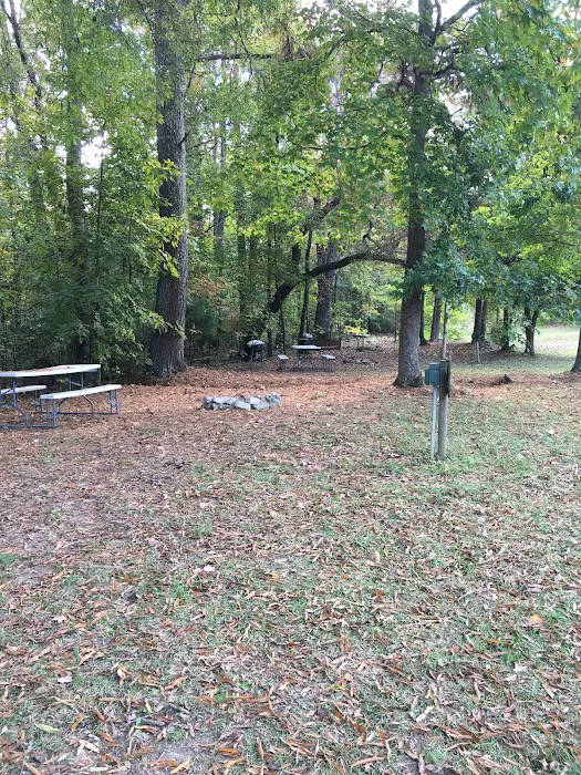 Black Bear Cove RV Campground Picture 4