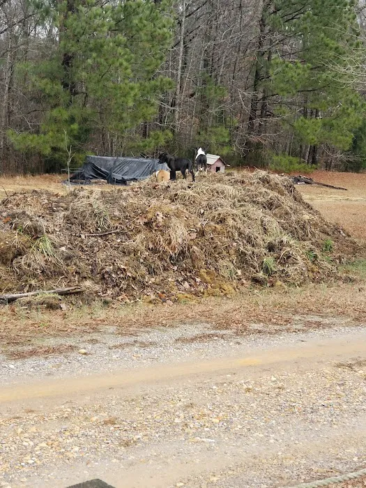 Black Bear Cove RV Campground Picture 10
