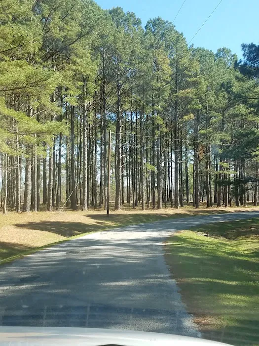 Black Bear Cove RV Campground Picture 9