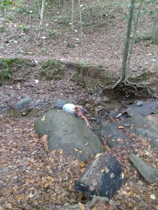 Burchfield Branch Park Picture 9