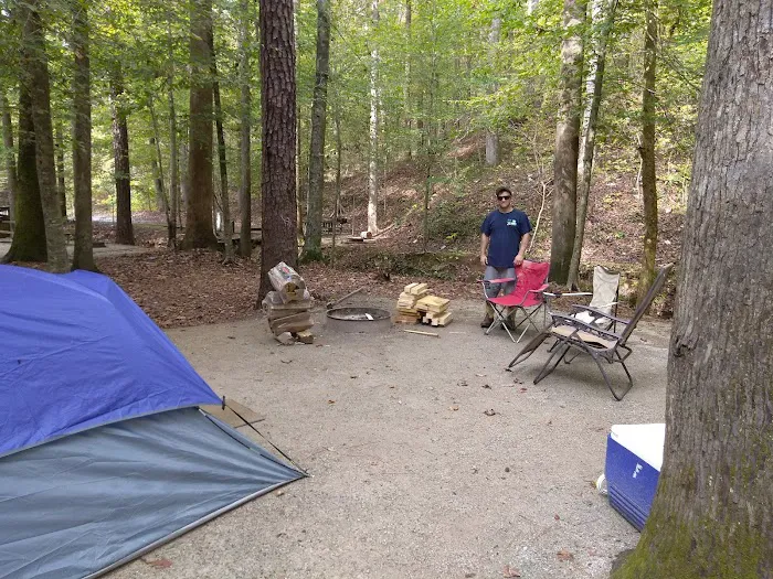 Burchfield Branch Park Picture 10