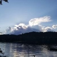 Burchfield Branch Park ico