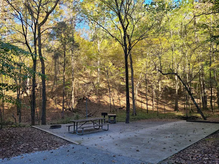 Burchfield Branch Park Picture 6