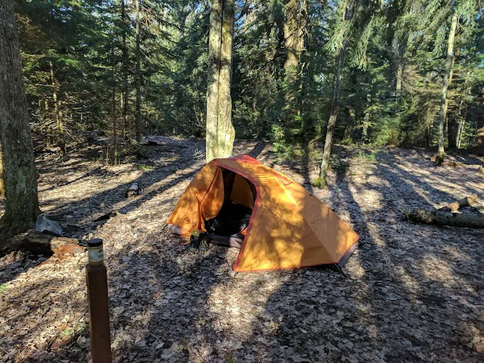 Mosquito Beach Campground Picture 3