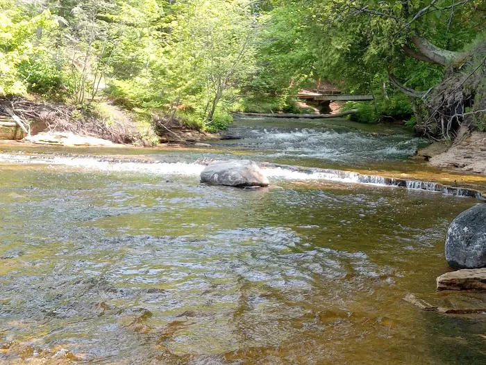 Mosquito Beach Campground Picture 4