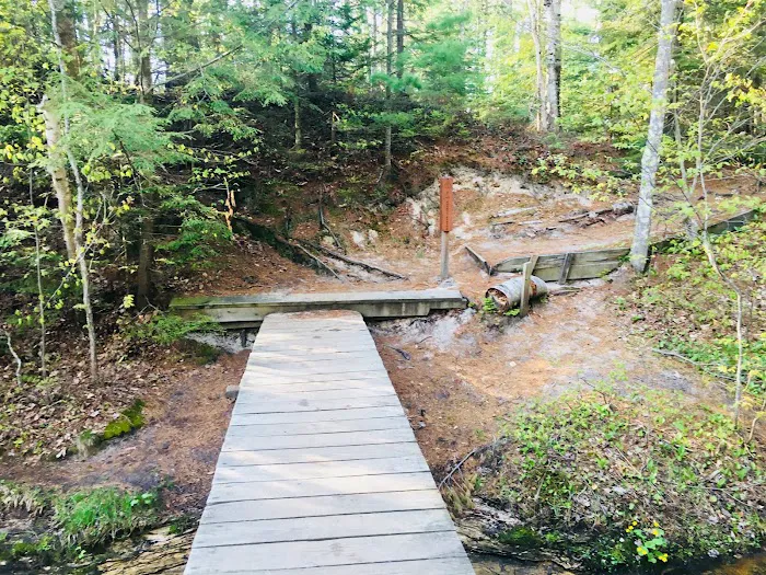 Mosquito Beach Campground Picture 6