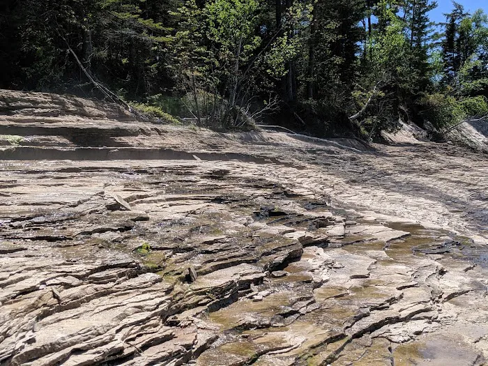 Mosquito Beach Campground Picture 9