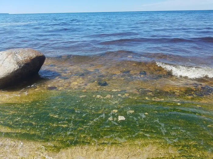 Mosquito Beach Campground Picture 8