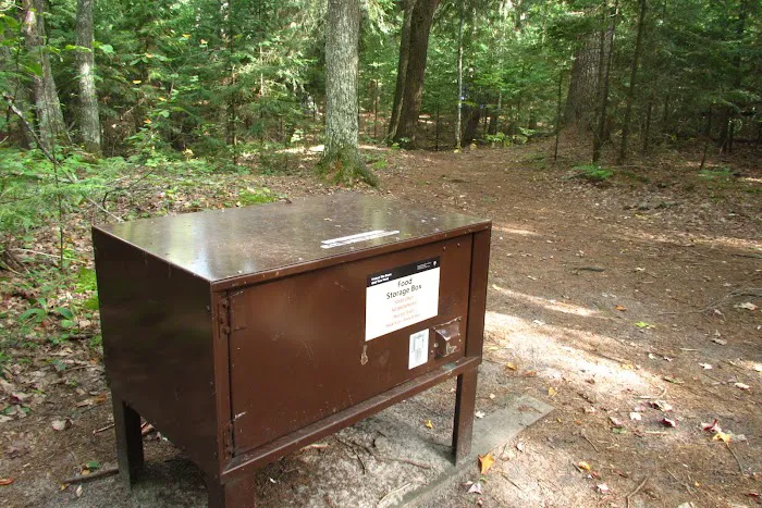 Mosquito Beach Campground Picture 10