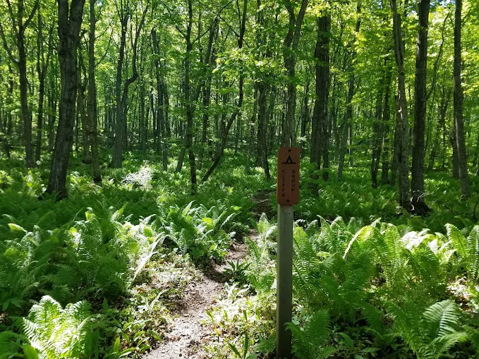 Cliffs Group Campsite Picture 3