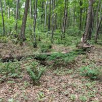 Cliffs Group Campsite ico