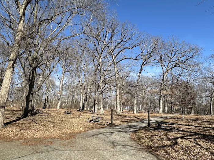 Lake Macbride Southern Campground Picture 4