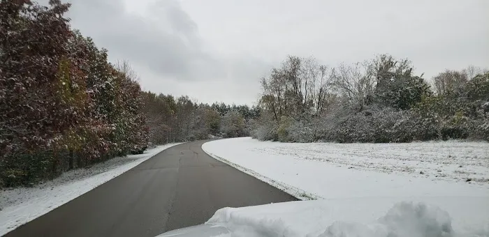 Scales Pointe Camping Picture 6