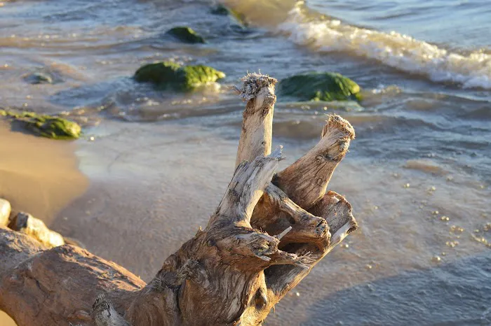 Outdoor Group Camp Picture 2