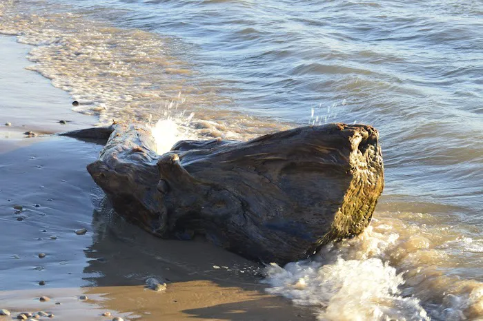 Outdoor Group Camp Picture 6