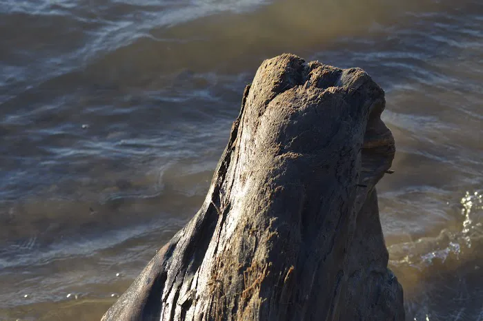 Outdoor Group Camp Picture 8